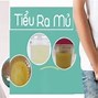 Nước Tiểu Có Màu Gì