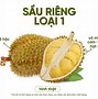 Sầu Riêng Ri 6 Loại 1