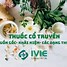 Vị Thuốc Y Học Cổ Truyền Là Gì