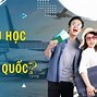 Xuất Khẩu Lao Động Hàn Quốc 2024 E7